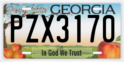 GA license plate PZX3170