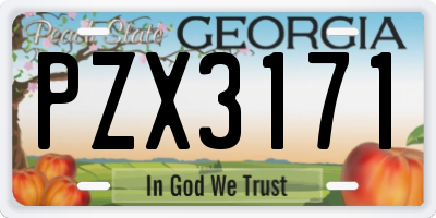 GA license plate PZX3171