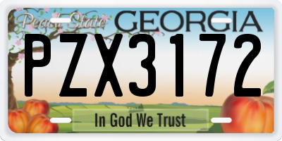 GA license plate PZX3172