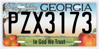 GA license plate PZX3173