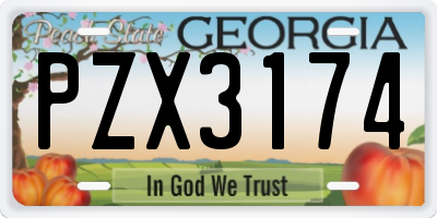 GA license plate PZX3174