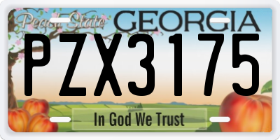 GA license plate PZX3175