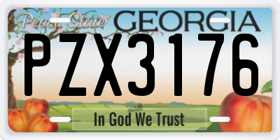 GA license plate PZX3176