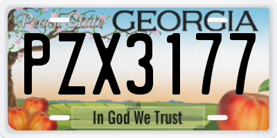 GA license plate PZX3177