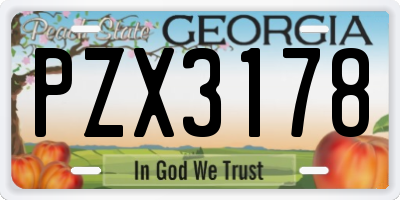 GA license plate PZX3178