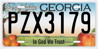 GA license plate PZX3179