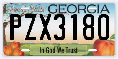 GA license plate PZX3180