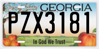 GA license plate PZX3181