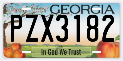 GA license plate PZX3182