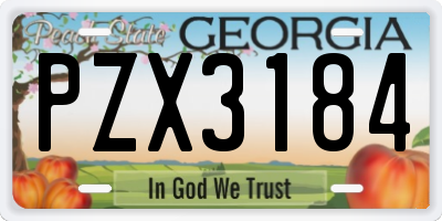 GA license plate PZX3184