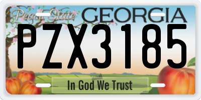 GA license plate PZX3185