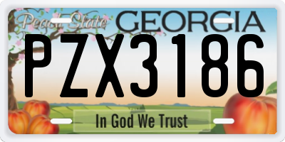 GA license plate PZX3186