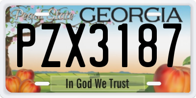 GA license plate PZX3187