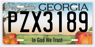 GA license plate PZX3189