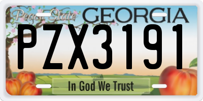 GA license plate PZX3191