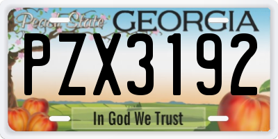 GA license plate PZX3192