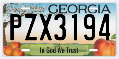 GA license plate PZX3194