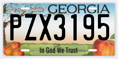 GA license plate PZX3195