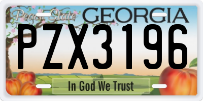 GA license plate PZX3196