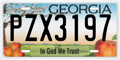 GA license plate PZX3197