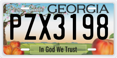 GA license plate PZX3198