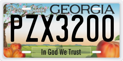 GA license plate PZX3200