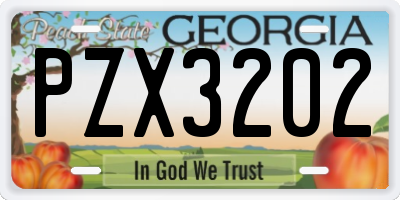 GA license plate PZX3202