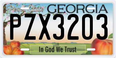 GA license plate PZX3203