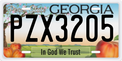 GA license plate PZX3205