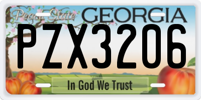 GA license plate PZX3206