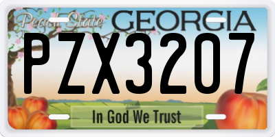 GA license plate PZX3207