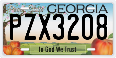 GA license plate PZX3208