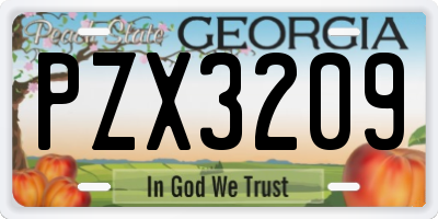 GA license plate PZX3209