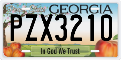 GA license plate PZX3210