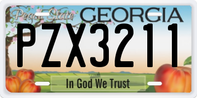 GA license plate PZX3211