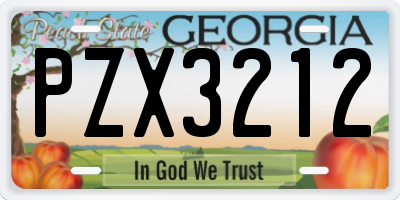 GA license plate PZX3212