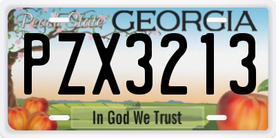 GA license plate PZX3213