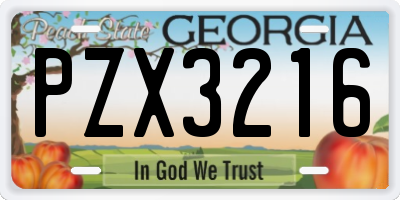 GA license plate PZX3216