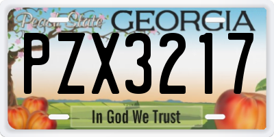 GA license plate PZX3217