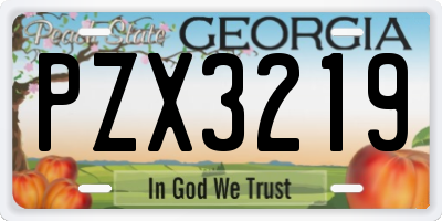 GA license plate PZX3219