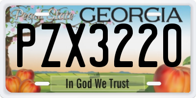 GA license plate PZX3220