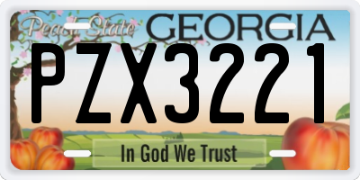 GA license plate PZX3221