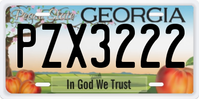 GA license plate PZX3222