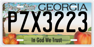 GA license plate PZX3223