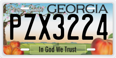 GA license plate PZX3224