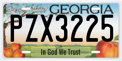 GA license plate PZX3225