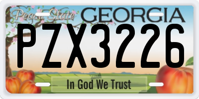 GA license plate PZX3226