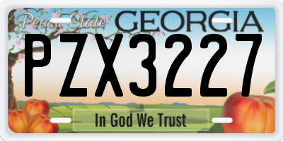 GA license plate PZX3227