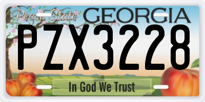 GA license plate PZX3228