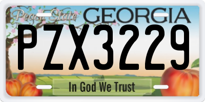 GA license plate PZX3229